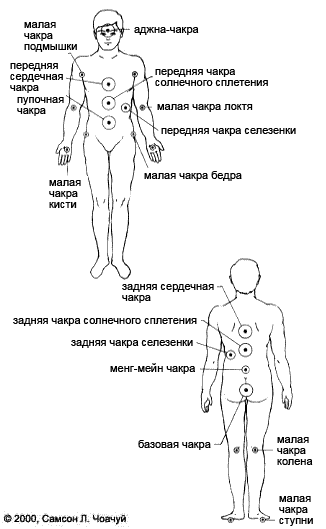 Рис. 16-1. Чакры, воздействующие на кровь.